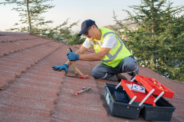 Best Metal Roofing Contractor  in Sauk Vlage, IL