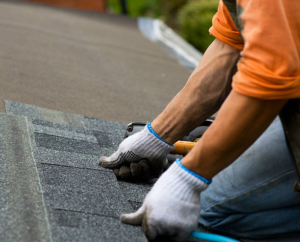 Quick and Trustworthy Emergency Roof Repair Services in Sauk Village, IL