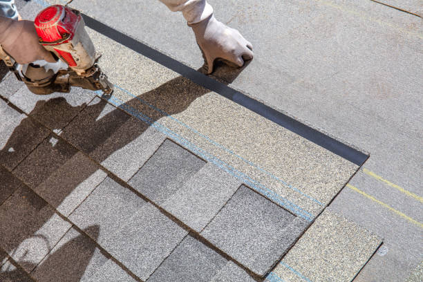 Best Local Roofing Companies  in Sauk Vlage, IL