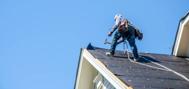 Best Flat Roof Repair Services  in Sauk Vlage, IL